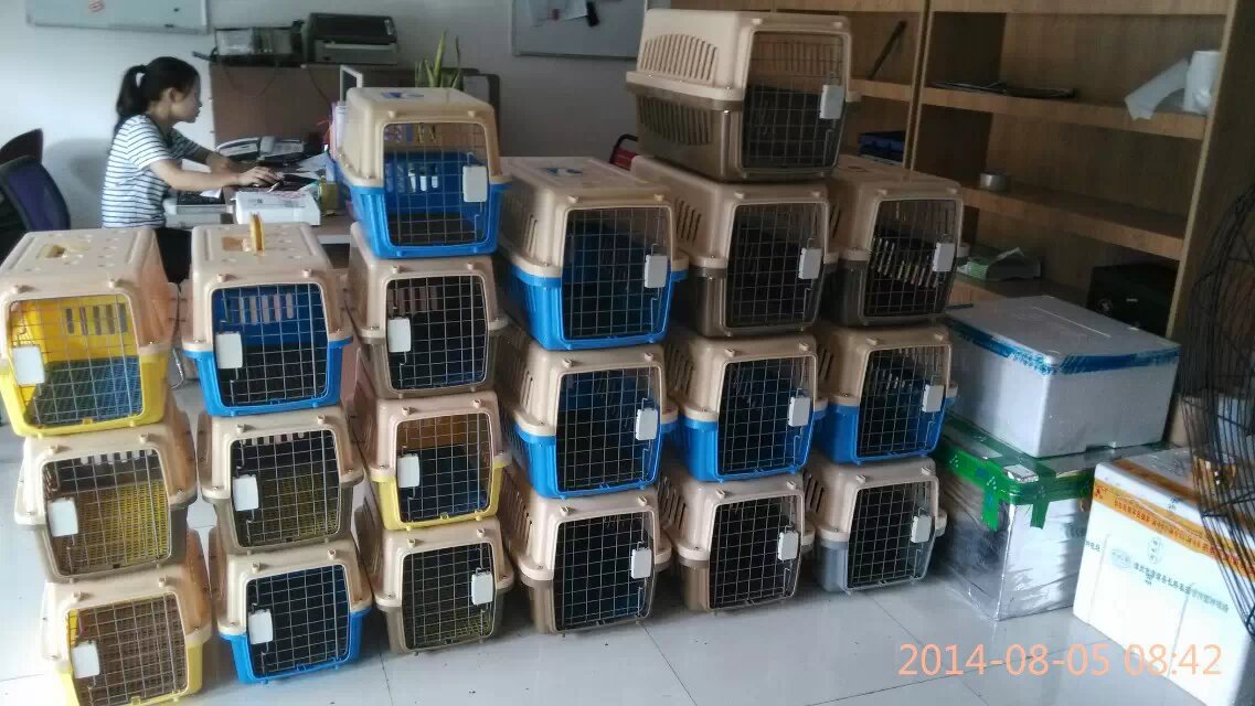 成都寵物專車托運