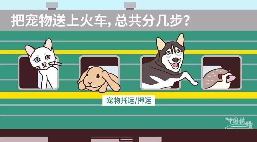 成都寵物火車托運