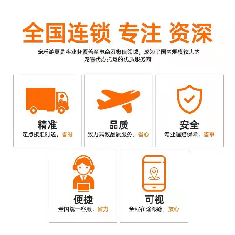 航空貨運寵物的基本條件——成都寵物空運