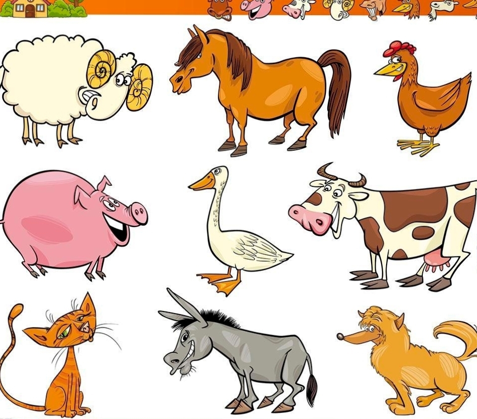 您寶貝狗狗寵物托運注意事項