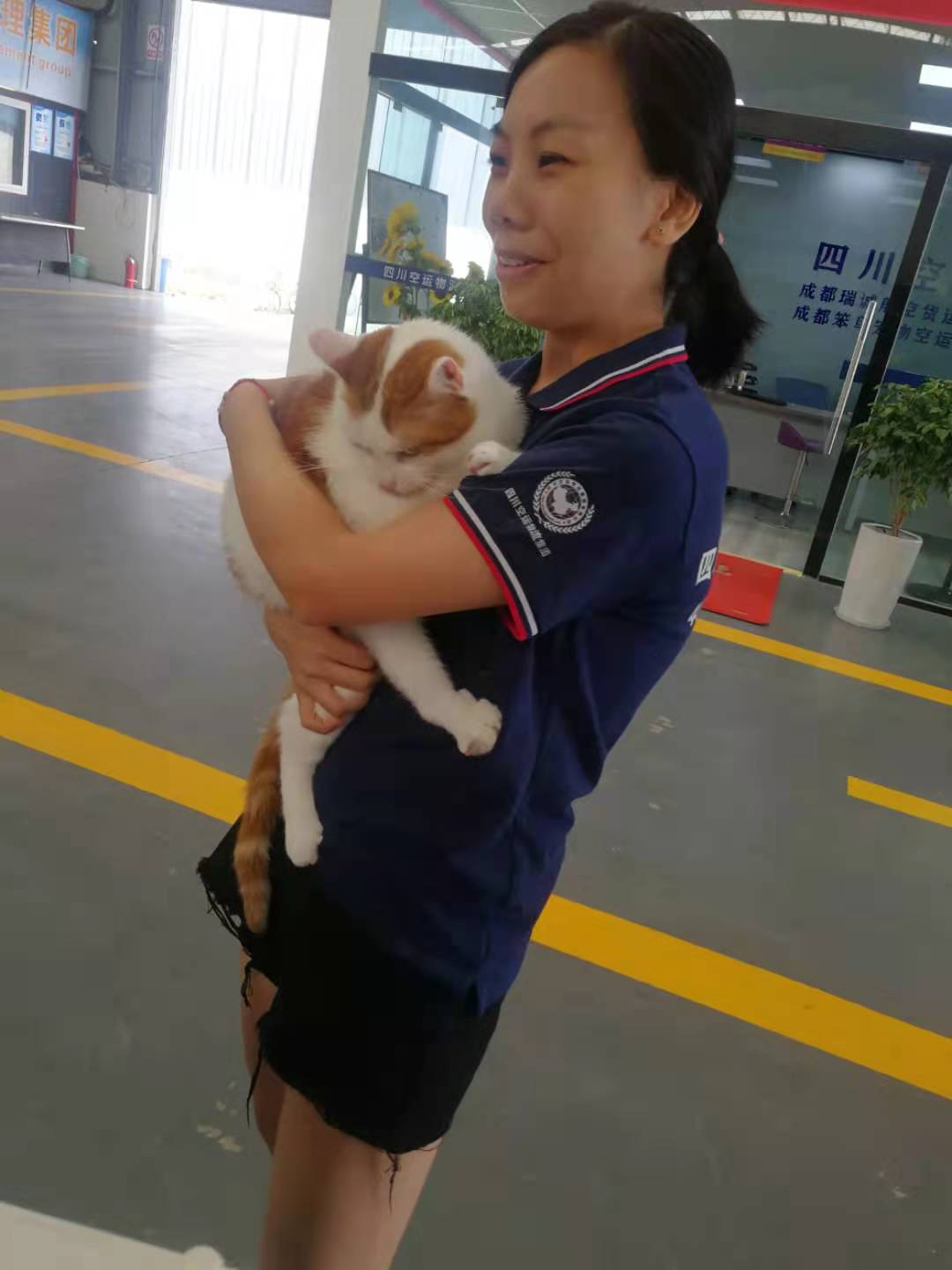 航空托運寵物注意事項有哪些？