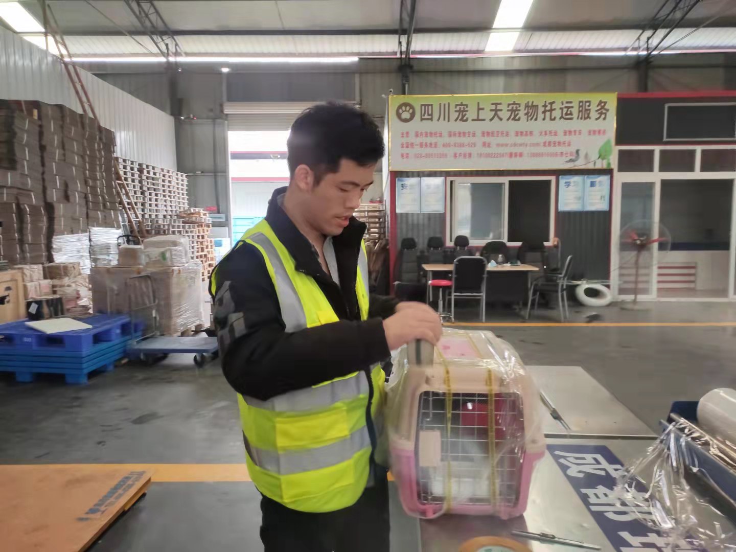 國內(nèi)寵物貨運托運有關(guān)條例----------成都寵物空運