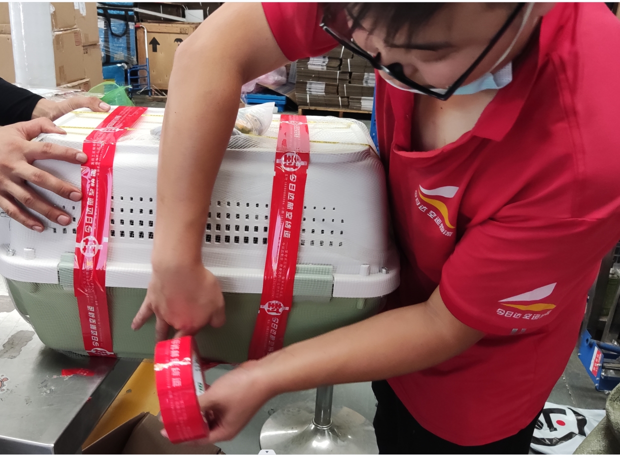 202403252e81cb2b0736764045f94e0879c224c2.png 202403252e81cb2b0736764045f94e0879c224c2.png